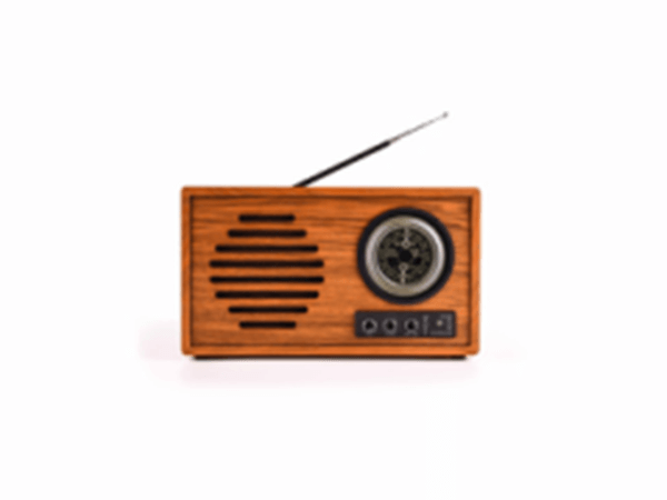 BLUETOOTH SPEAKER_A1
